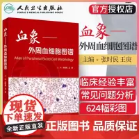 血象 外周血细胞图谱 张时民 王庚主编 可搭外周血细胞形态学检查技术 临床医生参考书籍 血液细胞形态检验