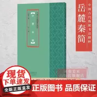 中国古代简牍书法精粹 岳麓秦简毛笔书法字帖临摹赏析 汉简字帖 简牍书法研究 书法篆刻 艺术 毛笔古代简牍书法 河南美术出