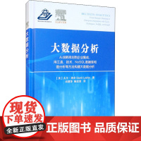 大数据分析 (美)大卫·洛辛 著 尚慧萍,鲍忠贵 译 数据库专业科技 正版图书籍 国防工业出版社