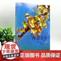 怀念芳草 夏葆升著 现在长篇小说 葱翠的芳草,孕育出可爱的青春,跃动的青春,开辟靓丽的时代 安徽文艺出版社