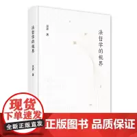 法哲学的视界 新青年法政人文论丛 吴彦 商务印书馆