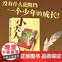 [随书附含精美全家福拉页]小大人 (英) 凯蒂•里根 《小王子》后再懂“小大人”的现实童话 外国文学书籍 书 外国文学作