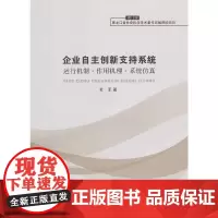 [正版书籍]企业自主创新支持系统