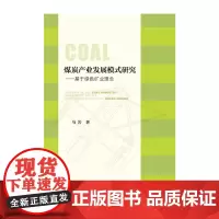 [正版书籍]煤炭产业发展模式研究