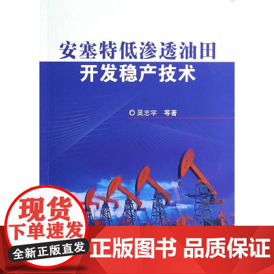 [正版书籍]安塞特低渗透油田开发稳产技术