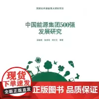 [正版书籍]中国能源集团500强发展研究