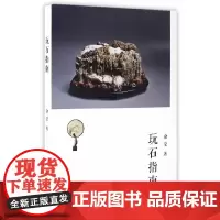 玩石指南