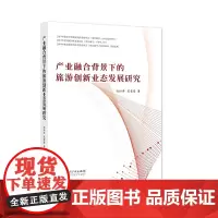 [正版书籍]产业融合背景下的旅游创新业态发展研究