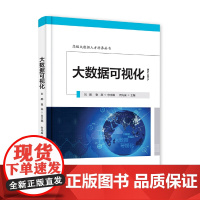 [正版书籍]大数据可视化—高级大数据人才培养丛书