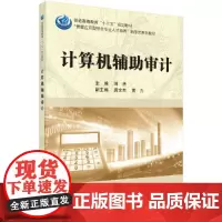 [正版书籍]计算机辅助审计