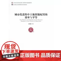 [正版书籍]城市化进程中土地资源配置的效率与平等