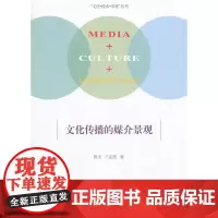 [正版书籍]文化传播的媒介景观