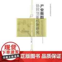 [正版书籍]产业集群协同创新机制研究——基于西北民族产业数据