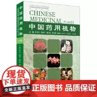 [正版书籍]中国药用植物(二十四)