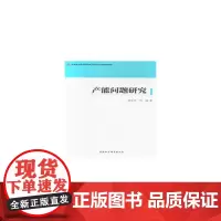 [正版书籍]产能问题研究