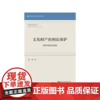 [正版书籍]文化财产的刑法保护:国际和国内的视角