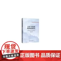 [正版书籍]文化产业发展财税政策研究