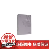 [正版书籍]飞翔与行走:陈宗俊文学评论集