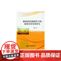 [正版书籍]新知识经济时代下的能源经济发展研究