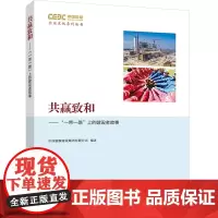 [正版书籍]共赢致和——“一带一路”上的建设者故事