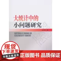 [正版书籍]大统计中的小问题研究