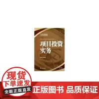项目投资实务 新