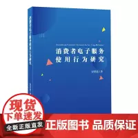 [正版书籍]消费者电子服务使用行为研究