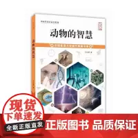 [正版书籍]动物的智慧