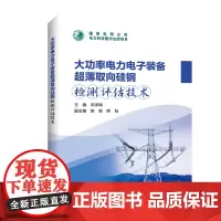 [正版书籍]大功率电力电子装备超薄取向硅钢检测评估技术