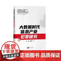 [正版书籍]大数据时代信息产业犯罪研究