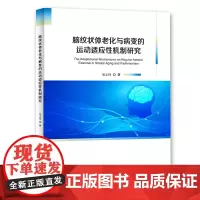 [正版书籍]脑纹状体老化与病变的运动适应性机制研究
