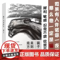 [正版书籍]骗子来到南方(一桩匪夷所思的案件,一局细思恐极的吃人阴谋,一次奋不顾身的爱情实验)