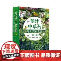 袖珍中草药野外识别图鉴(第二版)