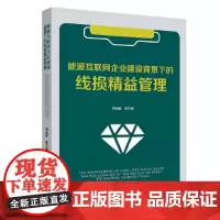 [正版书籍]能源互联网企业建设背景下的线损精益管理