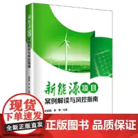新能源项目案例解读与风控指南
