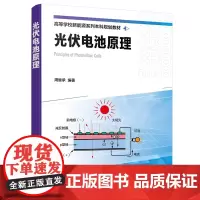 [正版书籍]光伏电池原理(周继承)