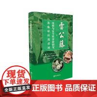 雷公藤毒理与安全性评价研究及临床应用进展
