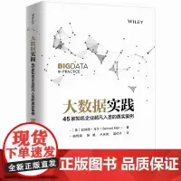 [正版书籍]大数据实践:45家知名企业超凡入圣的真实案例
