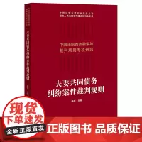 [正版书籍]夫妻共同债务纠纷案件裁判规则