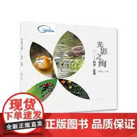 [正版书籍]光影之绚 科学 影像
