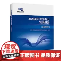 [正版书籍]粤港澳大湾区电力发展报告(2020年)