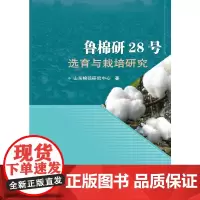 [正版书籍]鲁棉研28号选育与栽培研究