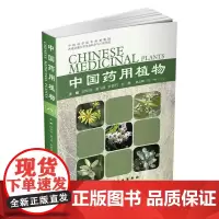 [正版书籍]中国药用植物.8