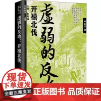虚弱的反攻 开禧北伐 刘芝庆 著 耿元骊 编 宋辽金元史社科 正版图书籍 辽宁人民出版社