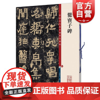 爨宝子碑 彩色放大本中国著名碑帖孙宝文编上海辞书出版社 书法篆刻碑帖鉴赏毛笔字练习临摹字帖