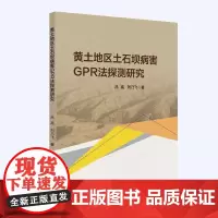 黄土地区土石坝病害GPR法探测研究 吕高,刘乃飞 著 著 工业技术其它专业科技 正版图书籍 中国石化出版社
