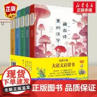 给孩子的大语文启蒙书2全套5册藏在诗里的汉字二三四五六年级读童诗写汉字小学生课外阅读书籍6一8-12岁课外书儿童经典读物