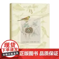 我的手绘博物馆:鸟 7岁以上鸟类动物飞行自然博物学博物画书籍 浪花朵朵童书