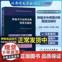肿瘤术中病理诊断图谱及解析 应建明 石素胜 杨琳 手术案例病理图片图谱病理学罕见病例诊断治疗肿瘤学冰冻切片外科病理书籍