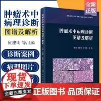 正版 肿瘤术中病理诊断图谱及解析 应建明 石素胜 杨琳 手术案例病理图片图谱病理学罕见病例诊断治疗肿瘤学冰冻切片外科病理